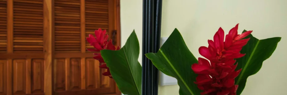 Habitación colonial